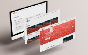 Aquasearch | Webstart Digital Group